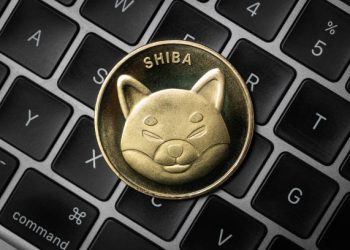 Shiba Inu’s Shibarium Suffers Crash In Major Metric, Is SHIB Price At Risk?