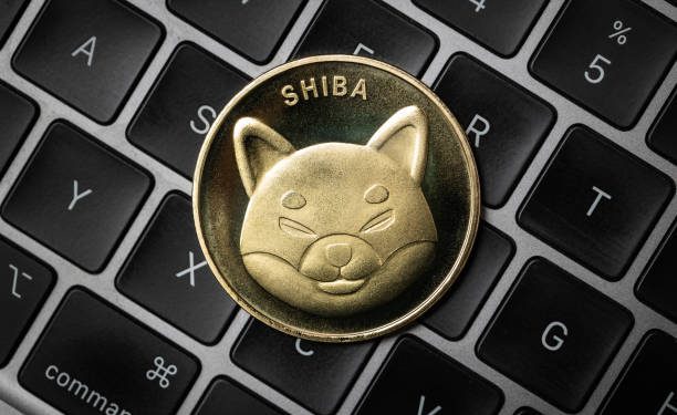 Shiba Inu’s Shibarium Suffers Crash In Major Metric, Is SHIB Price At Risk?