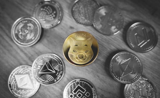 Shiba Inu Sees 300% Surge In This Major Metric, Is The Bottom In?