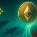 Ethereum Whale Demand Surges On Binance As Price Nears $5,000