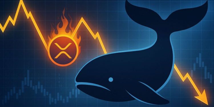 XRP Whale Activity Signals Warning: Distribution Pattern Resurfaces