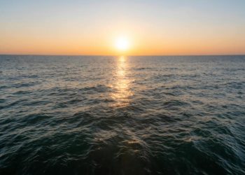 Slow And Steady: Bitcoin’s Current Rise Feels Different—Study