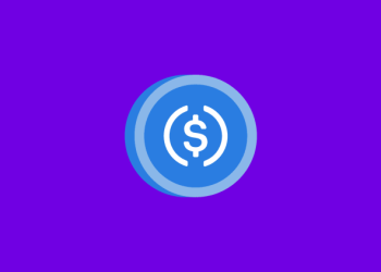 USDC Emerges As Top Pick In Booming Crypto Payroll Trend—Survey