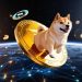 Pundit Reveals Catalysts That Will Drive Dogecoin Price 150% To $0.55