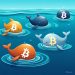 Bitcoin Whales Quietly Stack 16,000 BTC During Downtrend