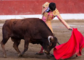 Bitcoin Analyst Builds BTC’s Bullish Case After Binance Volume Spike, Fed Liquidity Surge