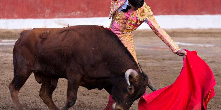 Bitcoin Analyst Builds BTC’s Bullish Case After Binance Volume Spike, Fed Liquidity Surge