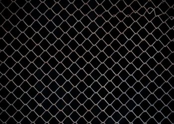 Chainlink Whales Scoop Up $150 Million LINK In Two Weeks – More Gains Ahead?