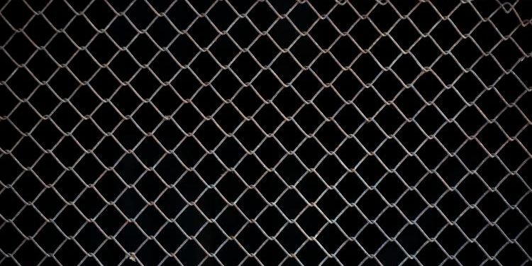 Chainlink Whales Scoop Up $150 Million LINK In Two Weeks – More Gains Ahead?