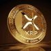 Key Levels To Watch In Light Of XRP’s Macro Future