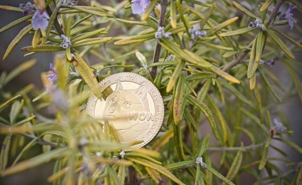 Analyst Sets $5 Target For The Dogecoin Price If This Happens