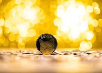 Shiba Inu Active Addresses Crash Over 50% In 3 Months, What About SHIB Price?