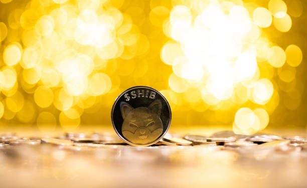 Shiba Inu Active Addresses Crash Over 50% In 3 Months, What About SHIB Price?