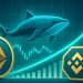 Binance Sees Massive Ethereum Whale Outflows: Demand Remains Strong