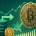 Bitcoin Market Absorbs Supply In Batches: VDD Highlights Mature Bull Phase