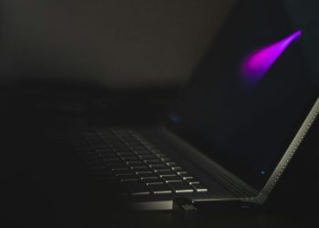 Scam Tokens Prompt Shiba Inu Team To Issue Emergency Alert – Details