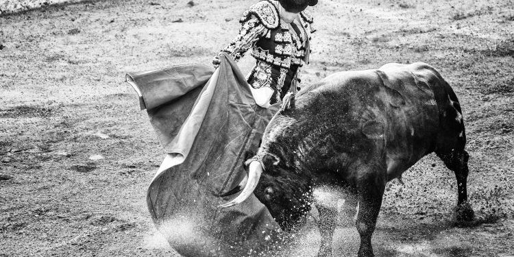 Crypto Pundit Gives Reasons Why Investors Should Be Extra Bullish On XRP