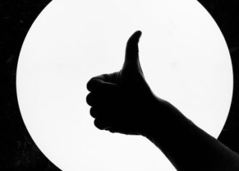 Trump-Tied Thumzup Raises $50M, Merges Dogecoin Mining With XRP Plans