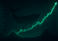 Max Bid Crypto Now: Market Maker Wintermute Turns Fully Bullish