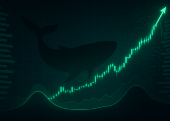 Max Bid Crypto Now: Market Maker Wintermute Turns Fully Bullish