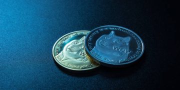 Dogecoin Open Interest Crashes 50% From October Highs, Volume Is Worse, What’s Going On?