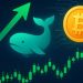 Hyperliquid Futures Indicator Signals Whales Are Going Long – Details