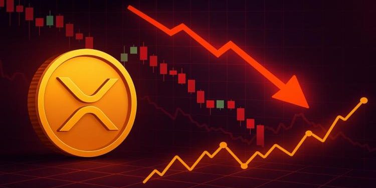 XRP DEX Volumes Surge As Price Plunges: Smart Money Accumulating?