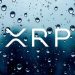 XRP Bounce In Sight? Bulls Hold $2.38 Support As Breakout Pressure Builds