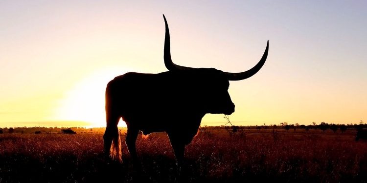 XRP Sparks Bullish Frenzy As Top Software Dev Says It Beats ETF Hype