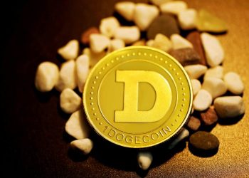 Dogecoin Down 20% – But Some Think This Is When The Real Gains Start