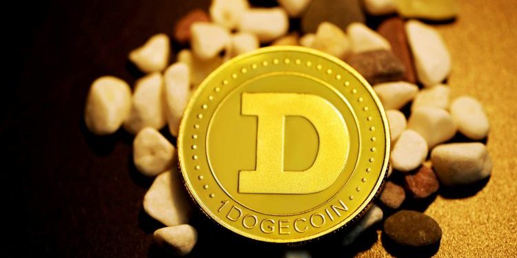 Dogecoin Down 20% – But Some Think This Is When The Real Gains Start