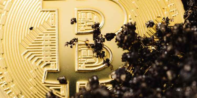 16,000 Ancient Bitcoins Just Moved—And It’s Costing Whales Billions