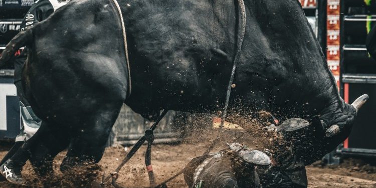 Ethereum Beware — Analyst Says XRP’s Next Bull Run Could Be Deadly