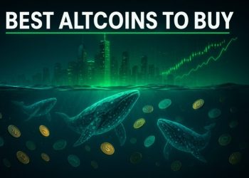 Best Altcoins to Buy as XRP Defies Market at $2.62 – Here’s What Whales Are Accumulating