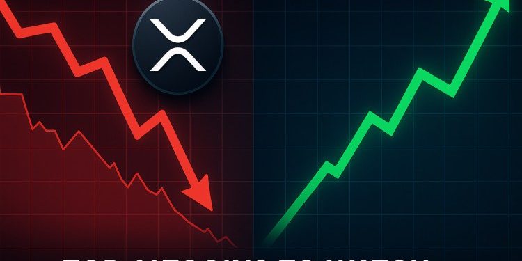 Top Altcoins to Watch as XRP Liquidations Shake the Market