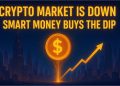 Crypto Market Is Down: Smart Money Buys the Dip
