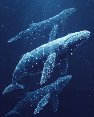 XRP Traders Face Fresh Selling Pressure As Large Holders Move Out