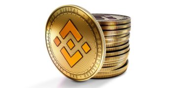 BNB Rebound Underway? Price Caught Within A Head And Shoulders Pattern