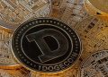 Dogecoin Whales Are Offloading Hundreds Of Millions Of DOGE, Here Are The Facts