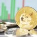 Analyst Predicts Dogecoin Price “Historic Mega Run” – Here’s The Target