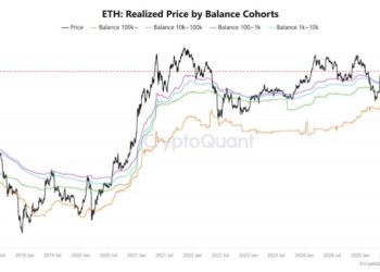 Ethereum Is Sitting On Its Most Critical On-Chain Support Level — A Rally Emerging?