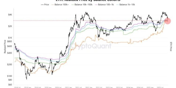 Ethereum Is Sitting On Its Most Critical On-Chain Support Level — A Rally Emerging?