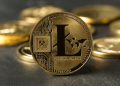 Analyst Reveals How Litecoin Can Turn $3,700 Into $1 Million For Investors