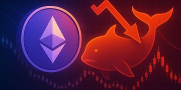 Ethereum ICO Whale Sells 20,000 ETH ($58M), Raising Questions Over Market Timing