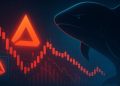 Whale Piles Into ASTER Shorts After CZ’s Comment – $52.8M On the Line