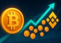Bitcoin Inflows To Binance Surge: Daily Average Hits 7,500 BTC