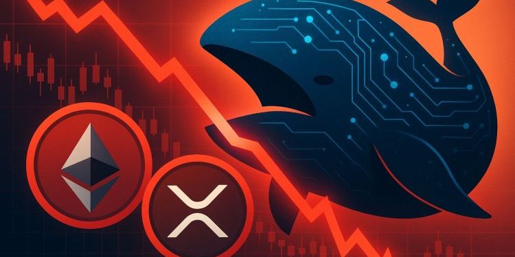 Anti-CZ Whale Loses Big: $61M in Profit Wiped Out As Ethereum and XRP Longs Collapse