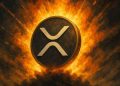 XRP Bear Signal Triggered: Will The Top Altcoin Drop 70-80% From Here?