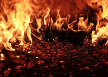 XRP On Fire: Over 21,000 New Wallets Appear In 48 Hours