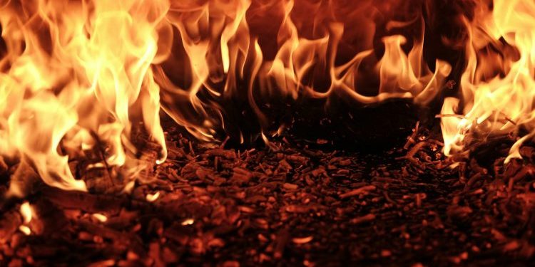 XRP On Fire: Over 21,000 New Wallets Appear In 48 Hours